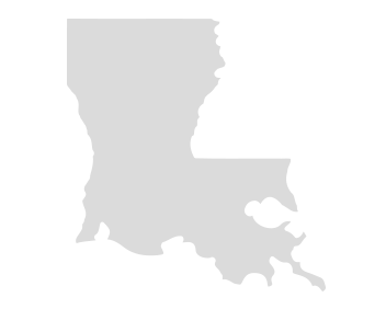 Louisiana Grey Map Icon