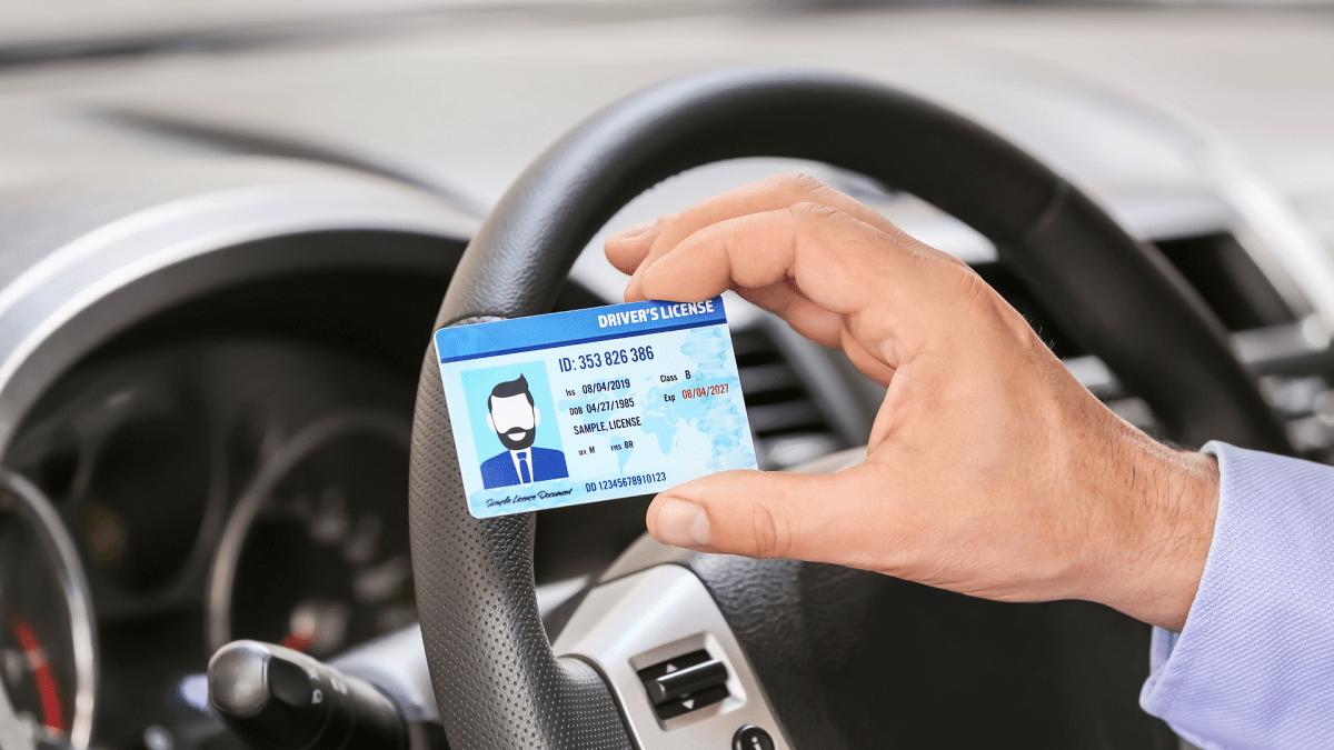 Man with driving license in car salon