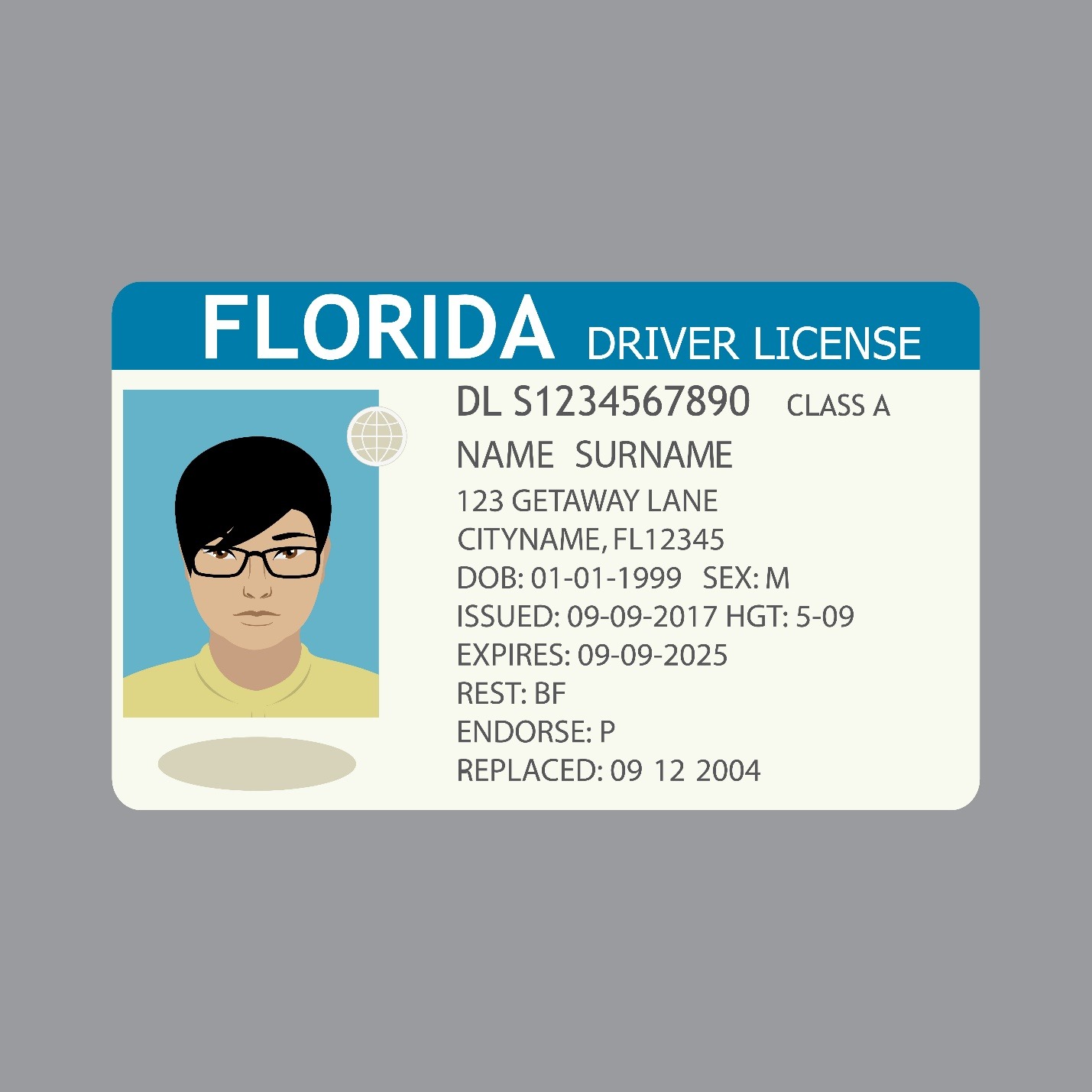 preview of florida driver license